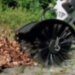 Подметальная щетка KB-KM, STIHL Арт. 46017404905